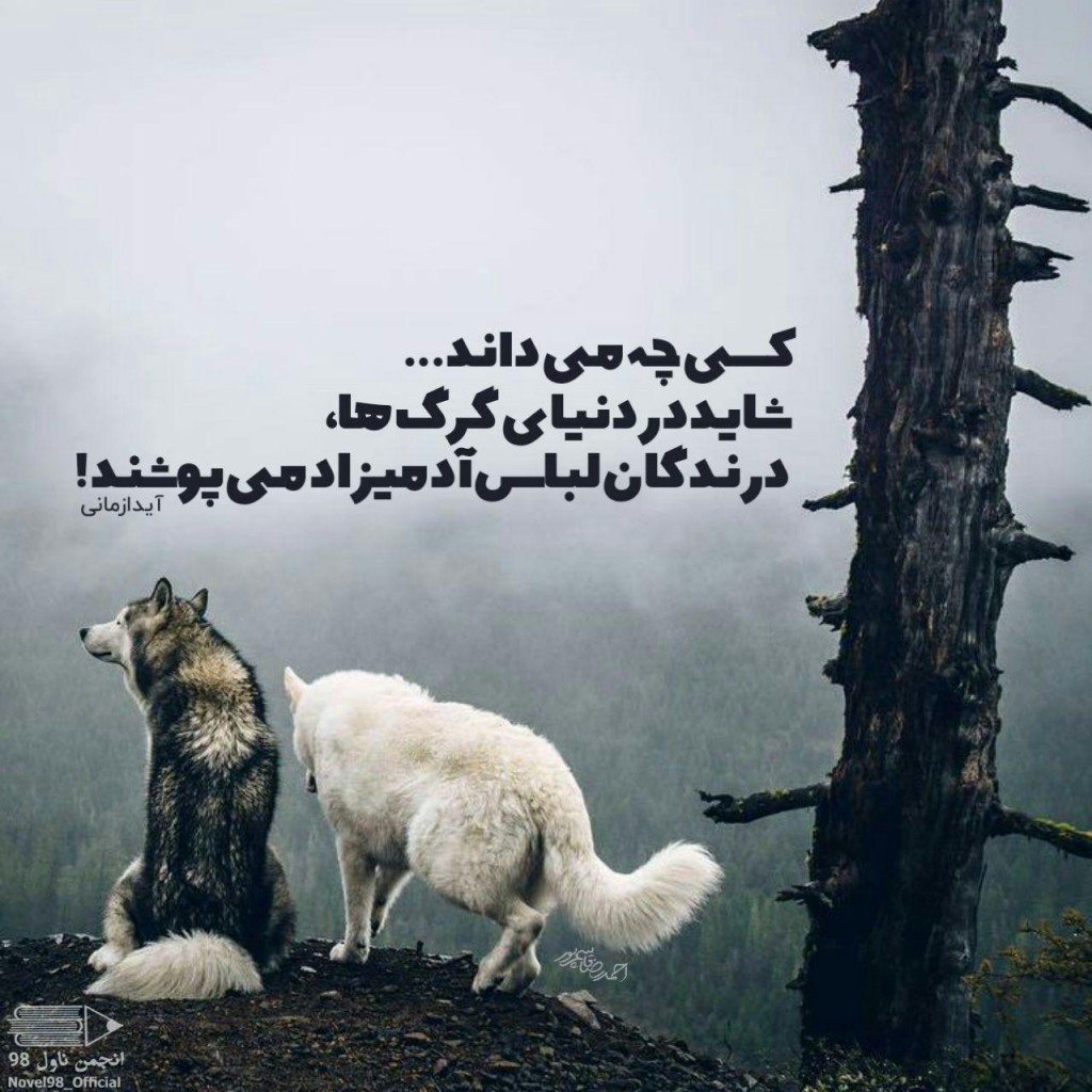 عکس نوشته از دلنوشته های آیدا زمانی عکس نوشته از دلنوشته های آیدا زمانی
