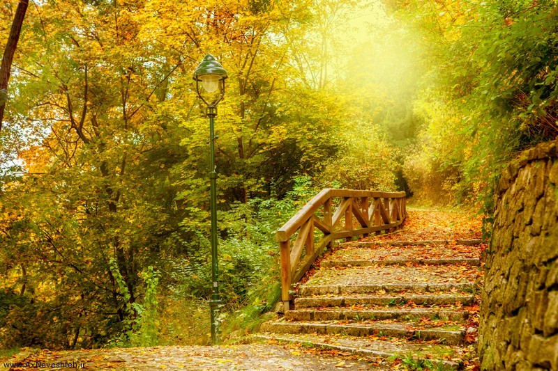 عکس پروفایل طبیعت زیبا و رویایی و بهاری و پاییز + متن و جملات زیبا از طبیعت