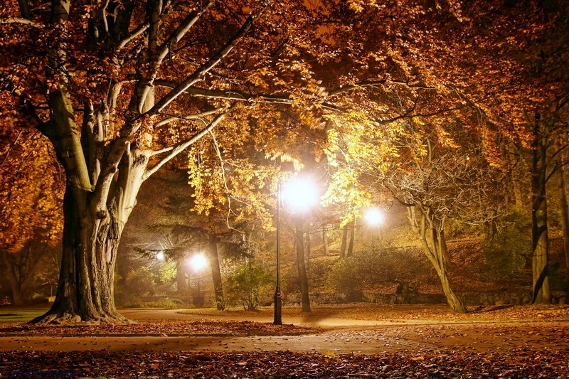 عکس پروفایل طبیعت زیبا و رویایی و بهاری و پاییز + متن و جملات زیبا از طبیعت