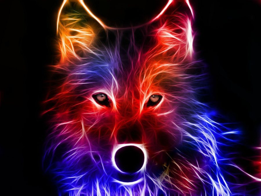 Wallpaper-Graphics-wolf-colorful Light-تصویر رنگی و گرافیکی از گرگ - آرسین فوتو